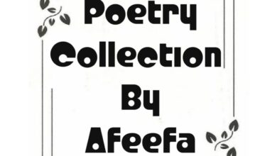 Photo of Poetry Collection by Afeefa Azam