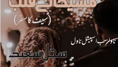Urdu Romantic Novel