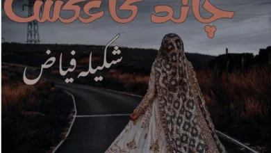 Urdu Novels