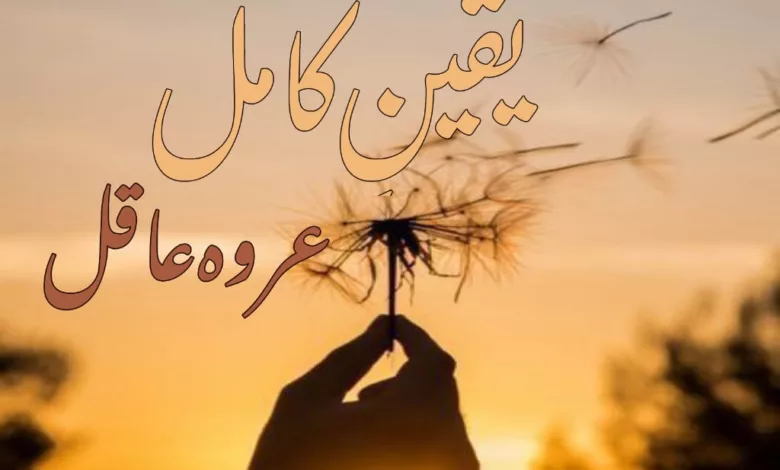 Urdu Novels