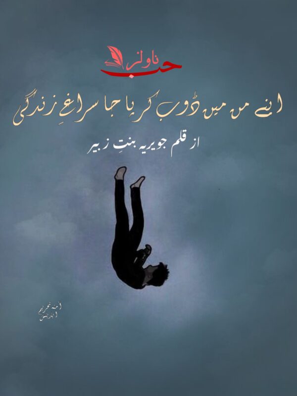 Novels Hub