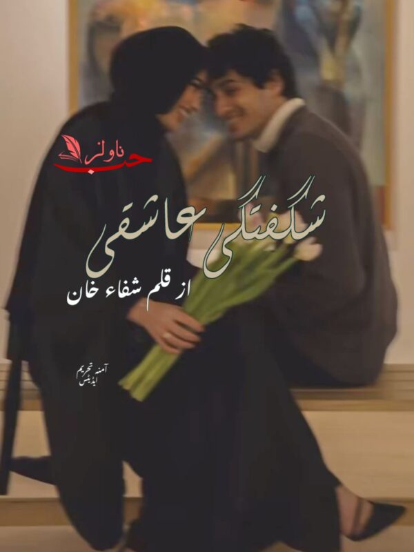Novels Hub