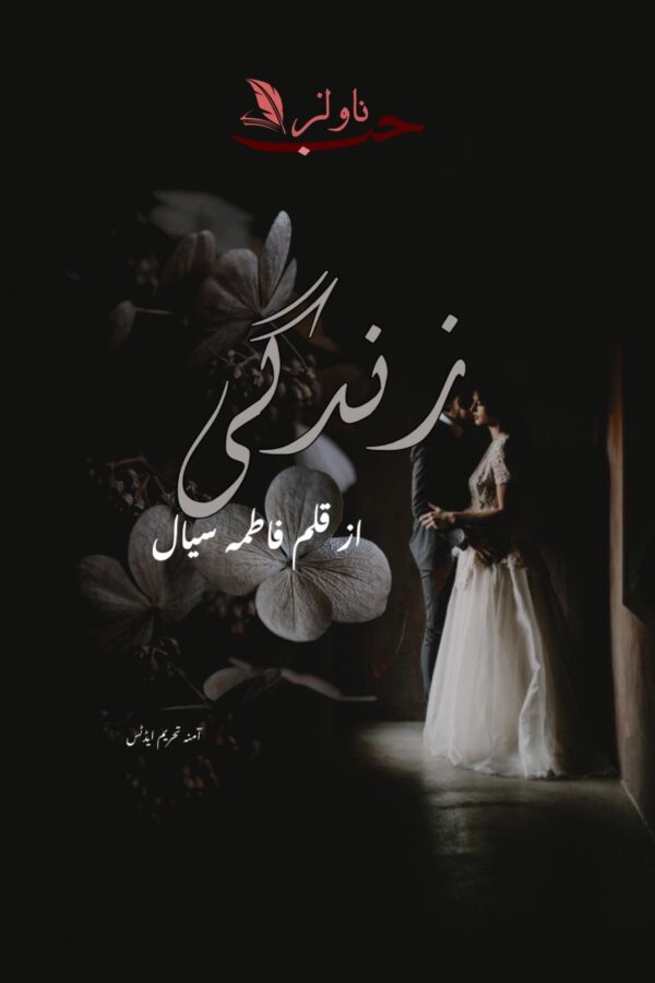 Novels Hub