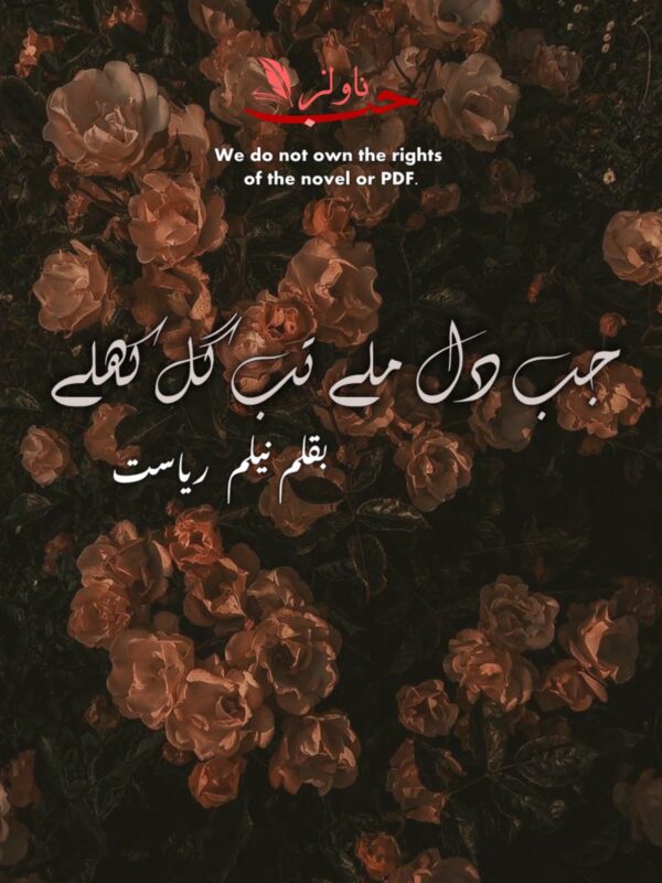 Urdu Romantic Novels