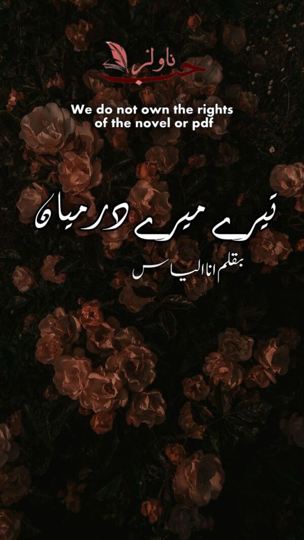 Tere Mere Darmiyan by Ana Ilyas