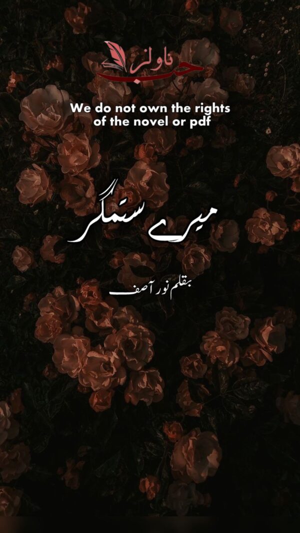 Mera Sitamgar by Noor Asif