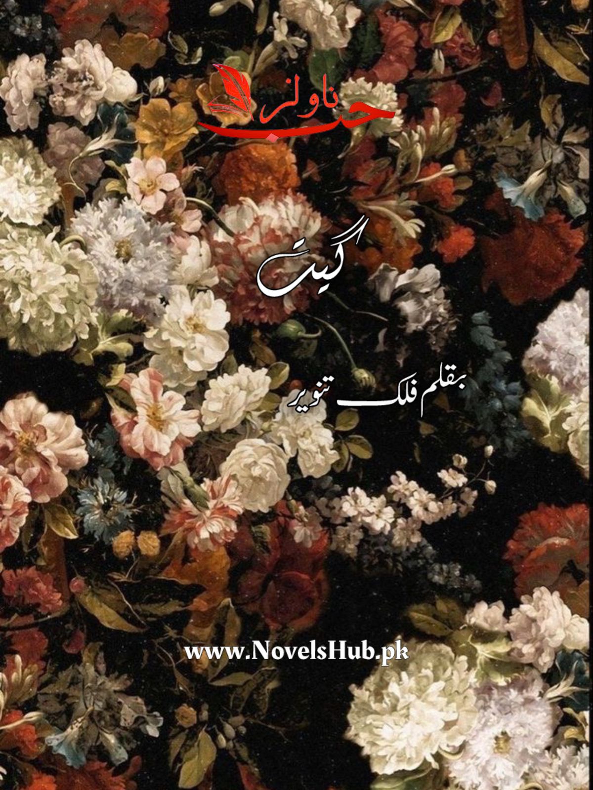 Geet by Falak Tanveer