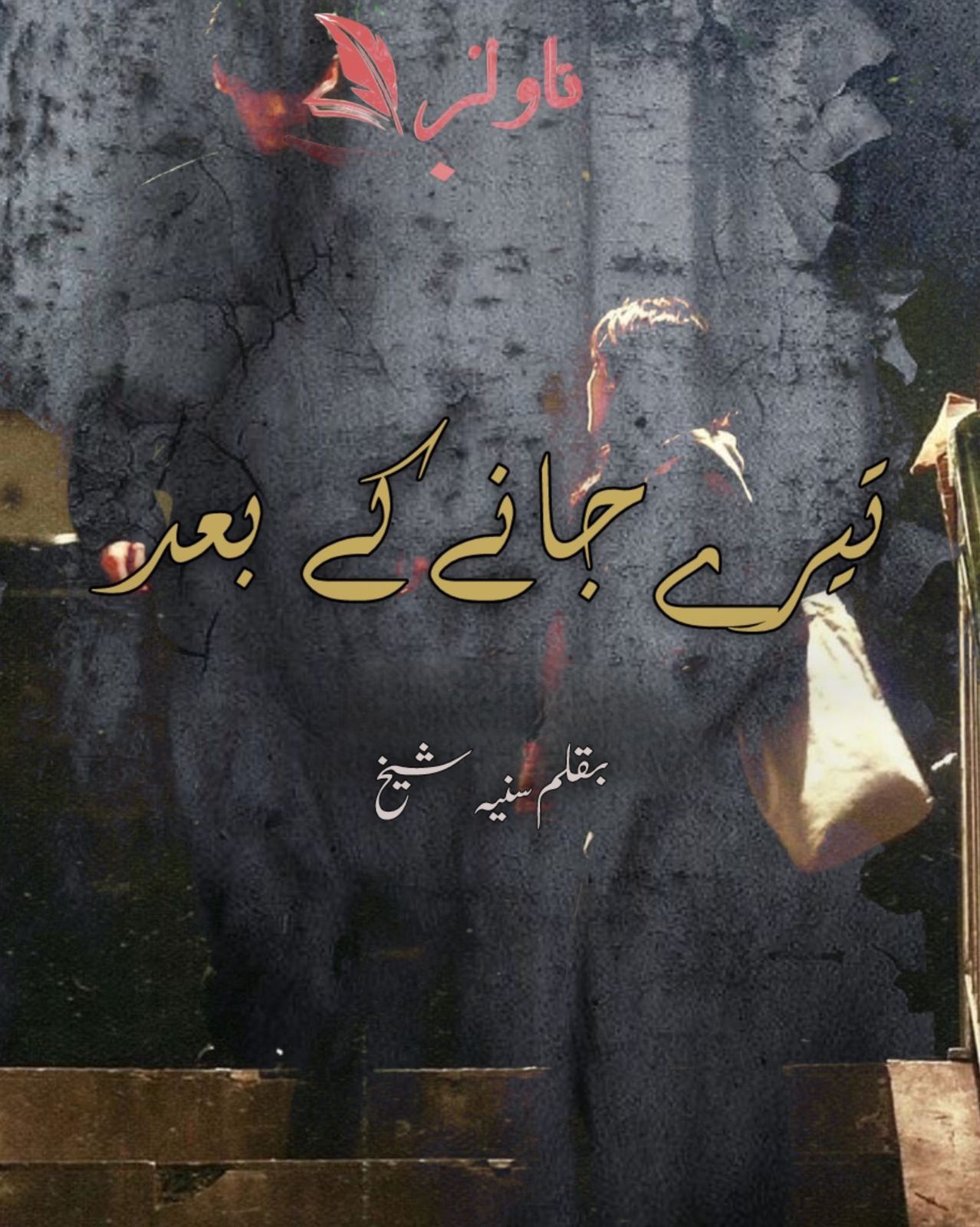 Tere Jane Ke Bad by Sania Sheikh