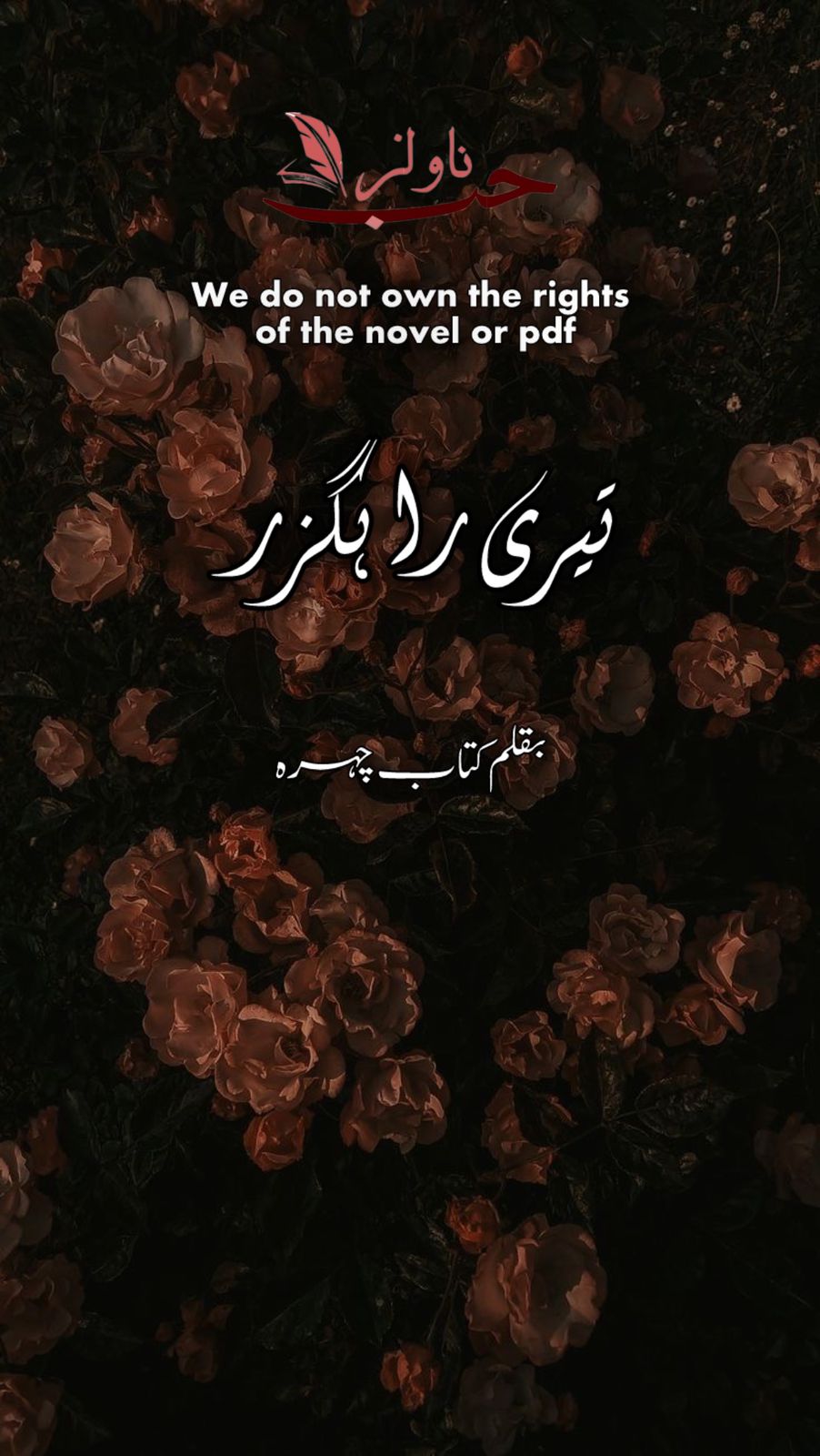 Teri Rahguzar by Kitab Chehra