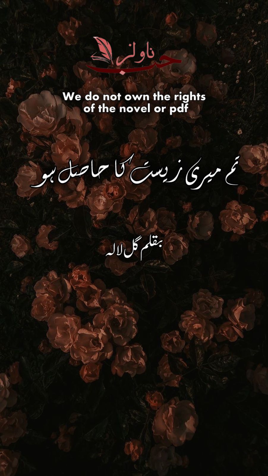 Tum Meri Zeest Ka Hasil Ho by Gul e Lala