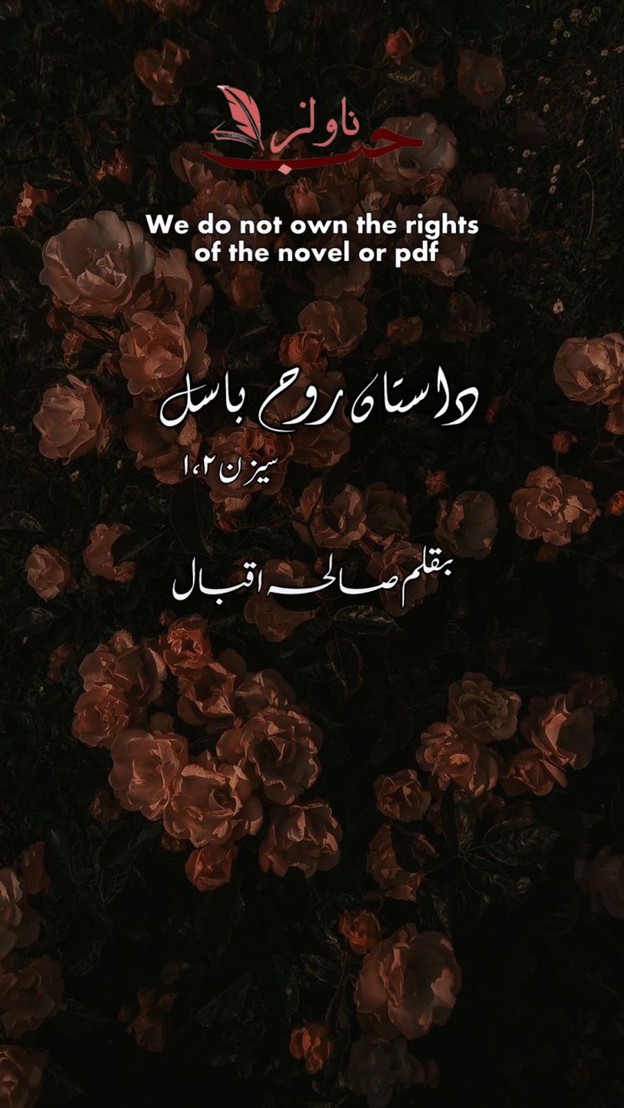 Dastan e Rooh e Basil Season 1 & 2 by Saleha Iqbal