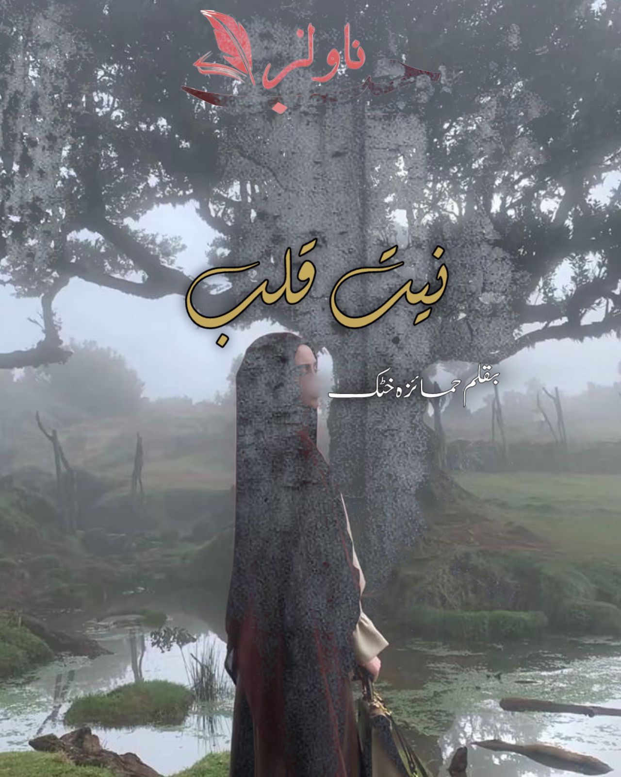 Niyyat e Qalb by Humaiza Khattak