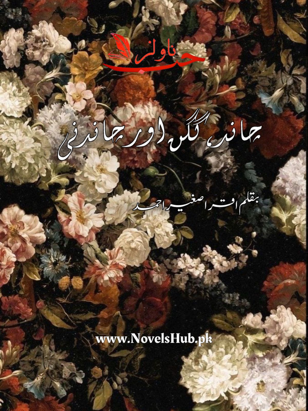 Chand Gagan Aur Chandni by Iqra Sagheer Ahmad