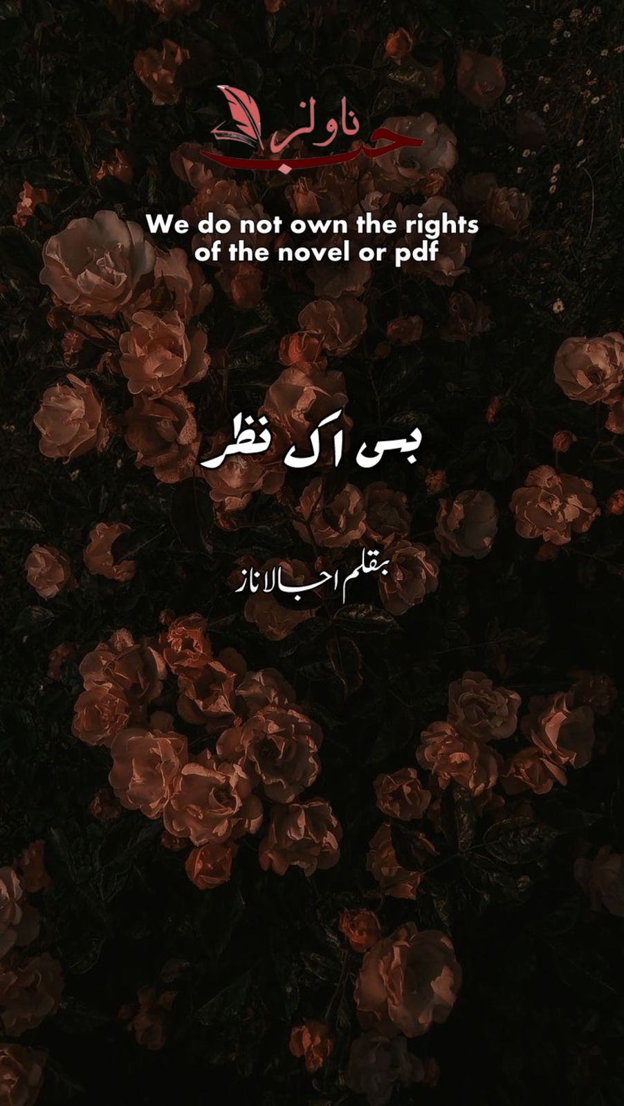 Bas Ik Nazar by Ujala Naz