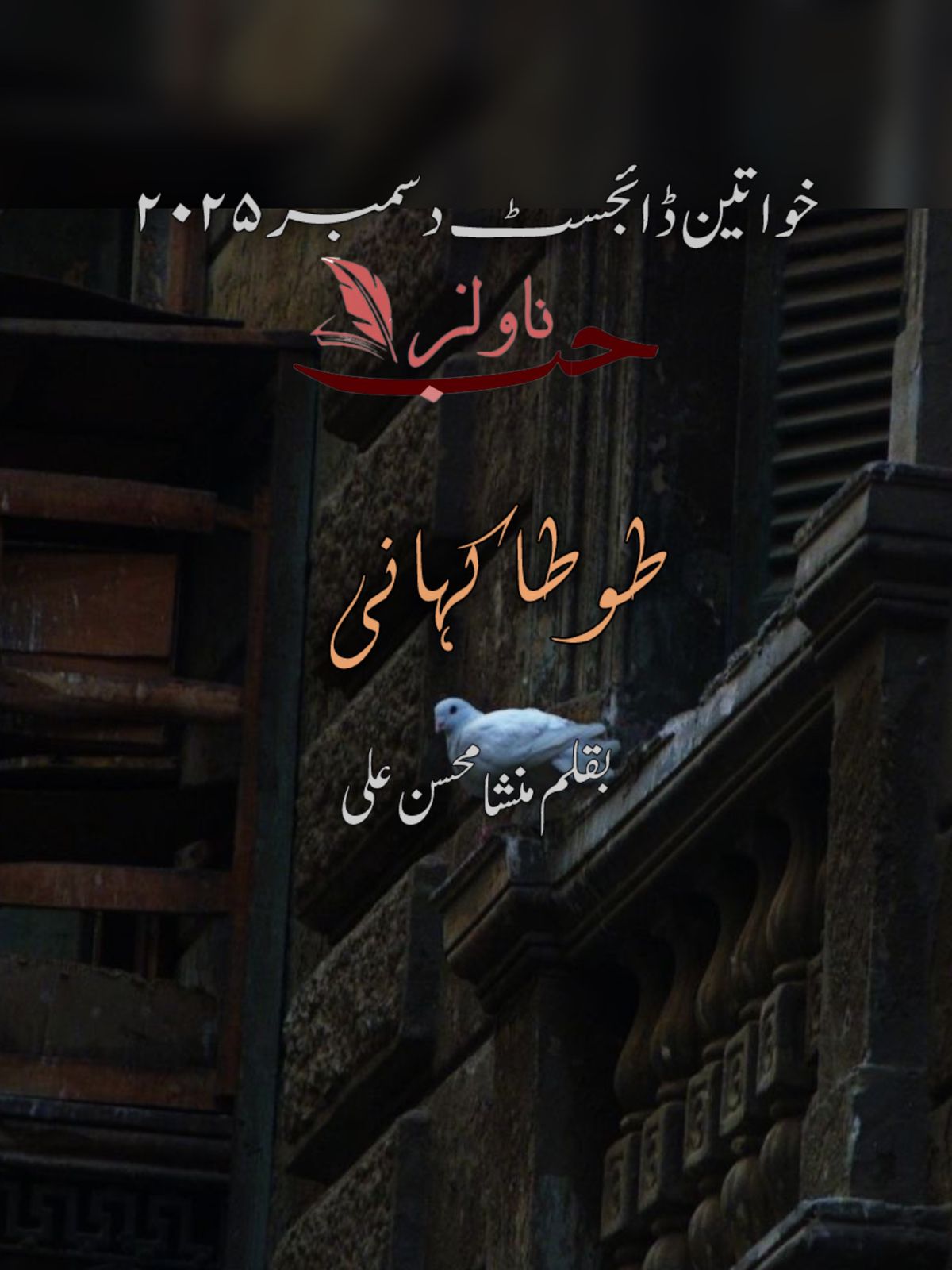 Tota Kahani by Mansha Moshin Ali